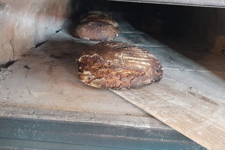 Brot.jpg  